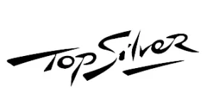 Logo Top Silver
